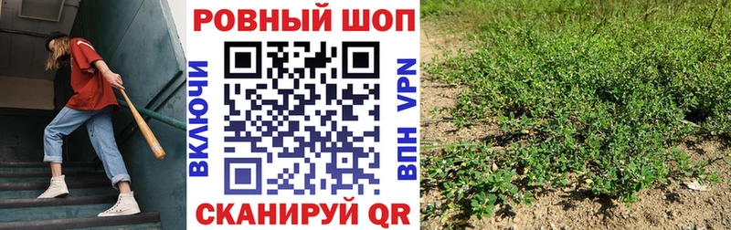 Купить наркоту Ачхой-Мартан АМФ  Меф  Марихуана  Кокаин 