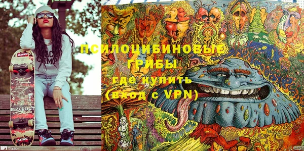 МДПВ Абаза