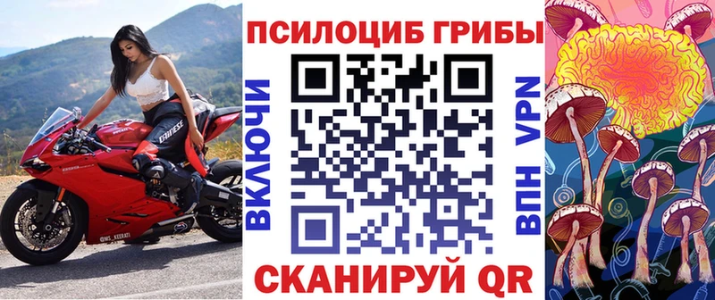 МЕГА зеркало  Ачхой-Мартан  Галлюциногенные грибы прущие грибы 